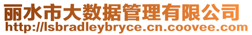 麗水市大數據管理有限公司