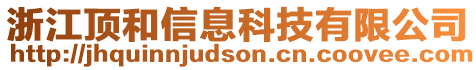 浙江頂和信息科技有限公司