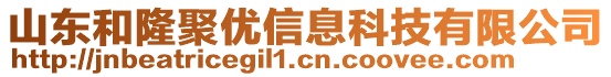 山東和隆聚優(yōu)信息科技有限公司