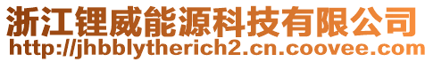 浙江鋰威能源科技有限公司
