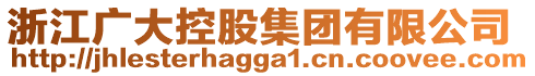 浙江廣大控股集團(tuán)有限公司