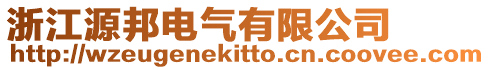 浙江源邦電氣有限公司