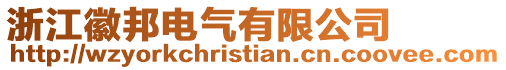 浙江徽邦電氣有限公司