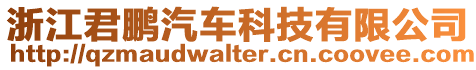 浙江君鵬汽車科技有限公司