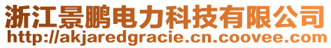 浙江景鵬電力科技有限公司