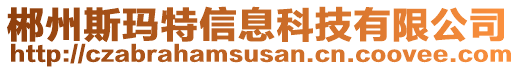 郴州斯瑪特信息科技有限公司