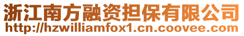 浙江南方融資擔保有限公司