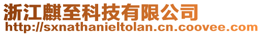 浙江麒至科技有限公司
