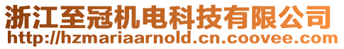 浙江至冠機電科技有限公司