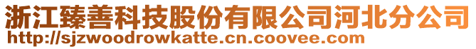 浙江臻善科技股份有限公司河北分公司