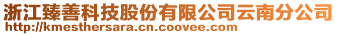 浙江臻善科技股份有限公司云南分公司