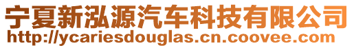 寧夏新泓源汽車(chē)科技有限公司