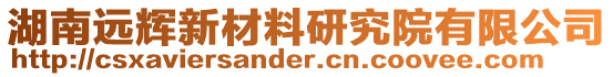 湖南遠(yuǎn)輝新材料研究院有限公司