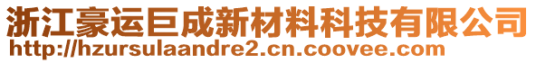 浙江豪運(yùn)巨成新材料科技有限公司