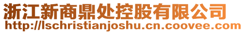 浙江新商鼎處控股有限公司