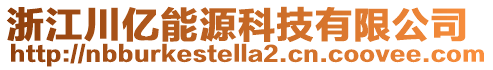 浙江川億能源科技有限公司