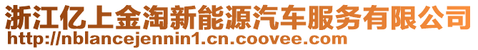 浙江億上金淘新能源汽車服務(wù)有限公司