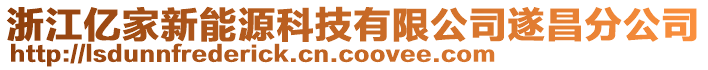 浙江億家新能源科技有限公司遂昌分公司