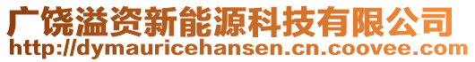 廣饒溢資新能源科技有限公司