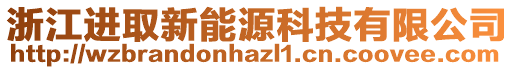 浙江進(jìn)取新能源科技有限公司