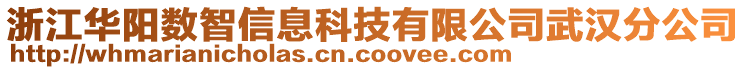 浙江華陽(yáng)數(shù)智信息科技有限公司武漢分公司