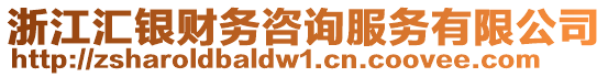 浙江匯銀財務咨詢服務有限公司