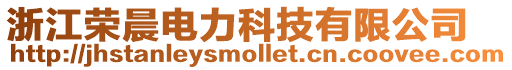 浙江榮晨電力科技有限公司