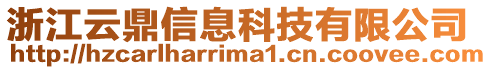 浙江云鼎信息科技有限公司