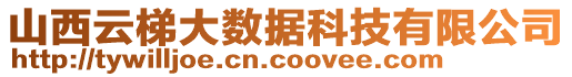 山西云梯大數(shù)據(jù)科技有限公司