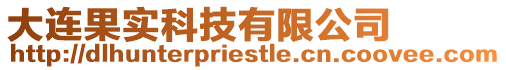 大連果實科技有限公司