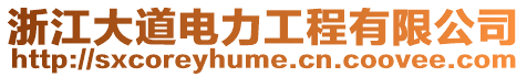 浙江大道電力工程有限公司