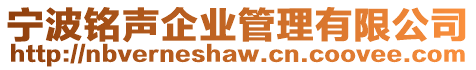 寧波銘聲企業管理有限公司