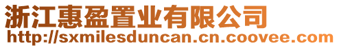 浙江惠盈置業(yè)有限公司