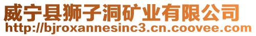 威寧縣獅子洞礦業(yè)有限公司