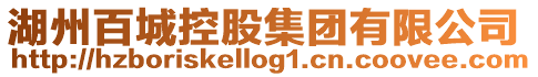 湖州百城控股集團有限公司