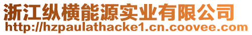浙江縱橫能源實業(yè)有限公司
