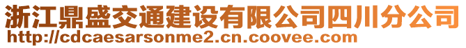 浙江鼎盛交通建設(shè)有限公司四川分公司