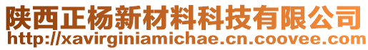 陜西正楊新材料科技有限公司