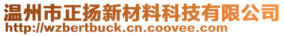 溫州市正揚新材料科技有限公司