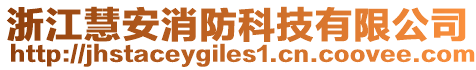 浙江慧安消防科技有限公司