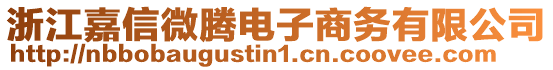 浙江嘉信微騰電子商務(wù)有限公司