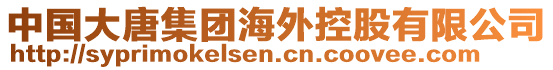 中國大唐集團海外控股有限公司