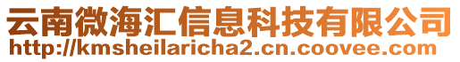云南微海匯信息科技有限公司