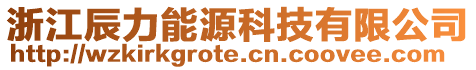 浙江辰力能源科技有限公司