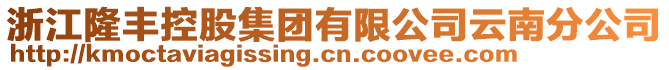 浙江隆豐控股集團有限公司云南分公司