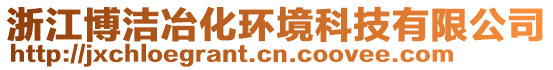 浙江博潔冶化環(huán)境科技有限公司