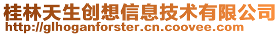 桂林天生創想信息技術有限公司