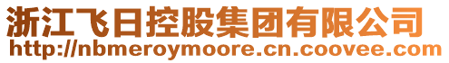 浙江飛日控股集團(tuán)有限公司