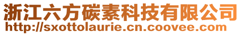 浙江六方碳素科技有限公司