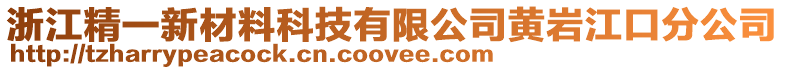 浙江精一新材料科技有限公司黃巖江口分公司